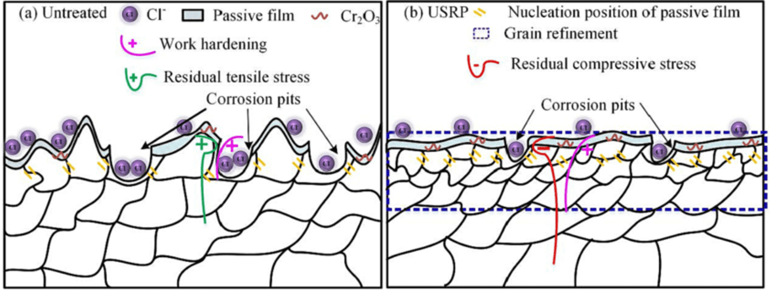 Ultrasonic-Enhanced Laser Cladding: Improving Microstructure and